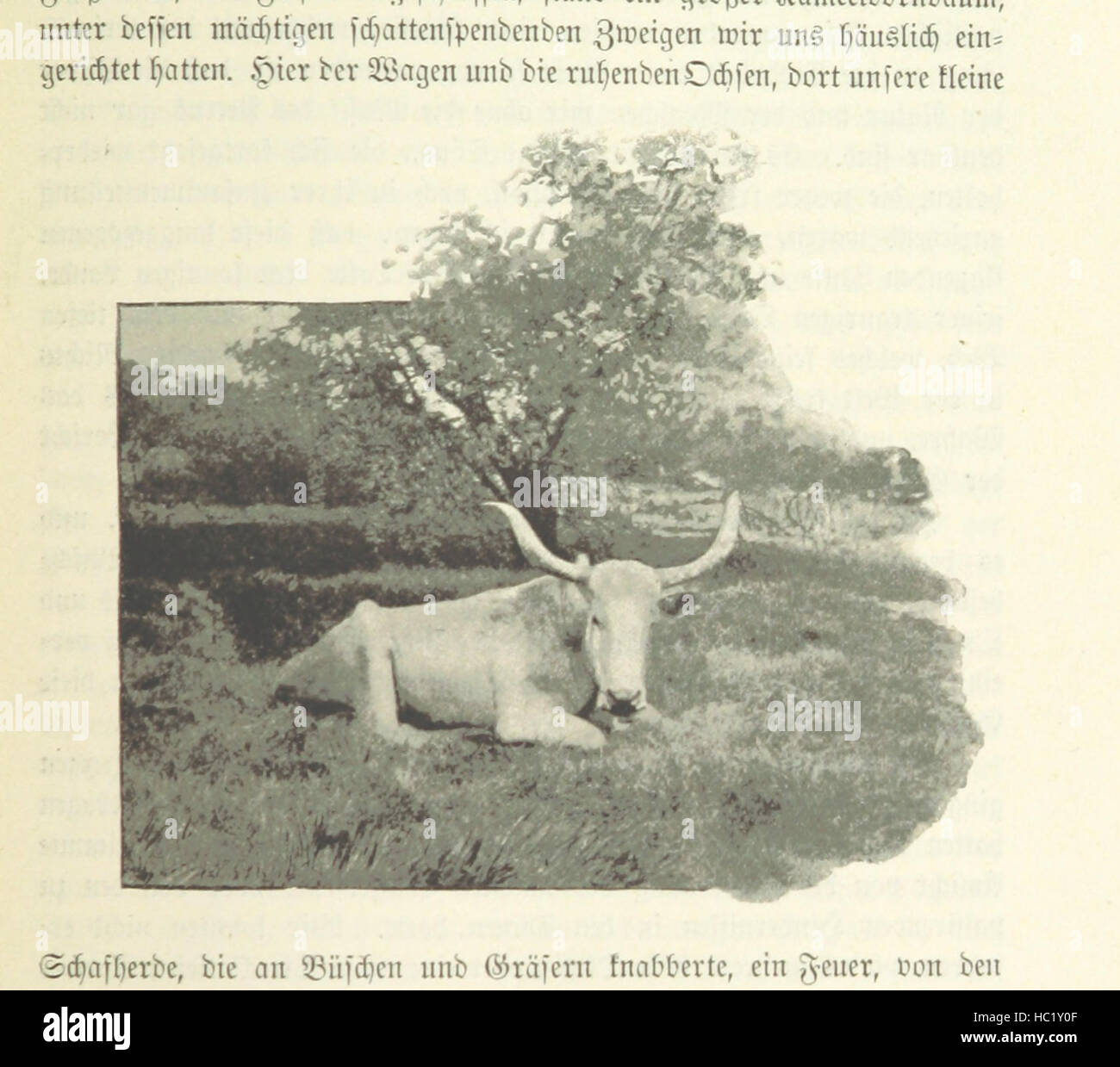 Image taken from page 203 of 'Deutsch-Südwestafrika. Drei Jahre im Lande Hendrik Witboois. Schilderungen von Land und Leuten ... Mit zahlreichen Abbildungen ... und zwei Karten' Image taken from page 203 of 'Deutsch-Südwestafrika Drei Jahre im Stock Photo
