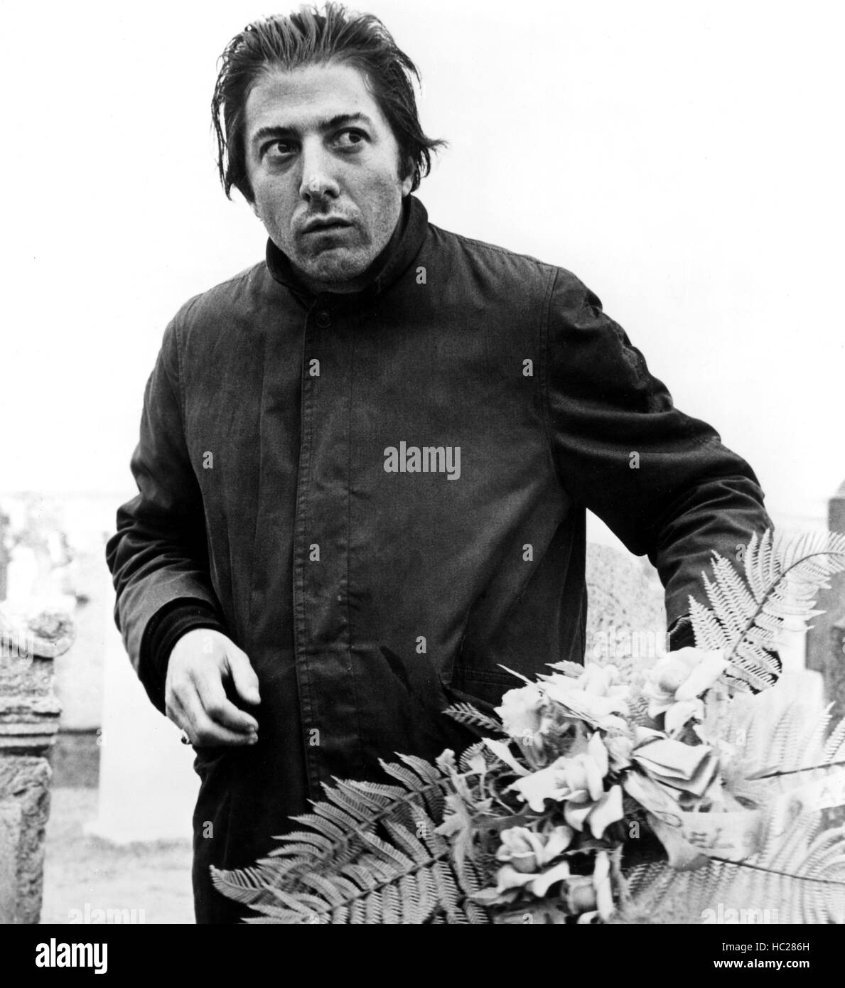 MIDNIGHT COWBOY, Dustin Hoffman, 1969 Stock Photo - Alamy
