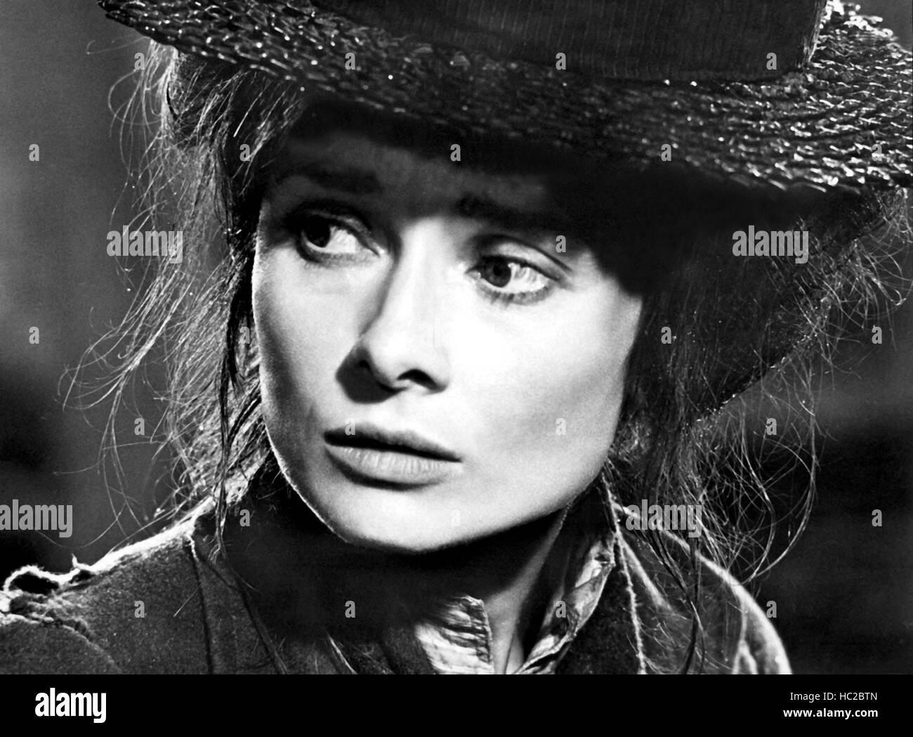 my-fair-lady-audrey-hepburn-1964-stock-photo-alamy