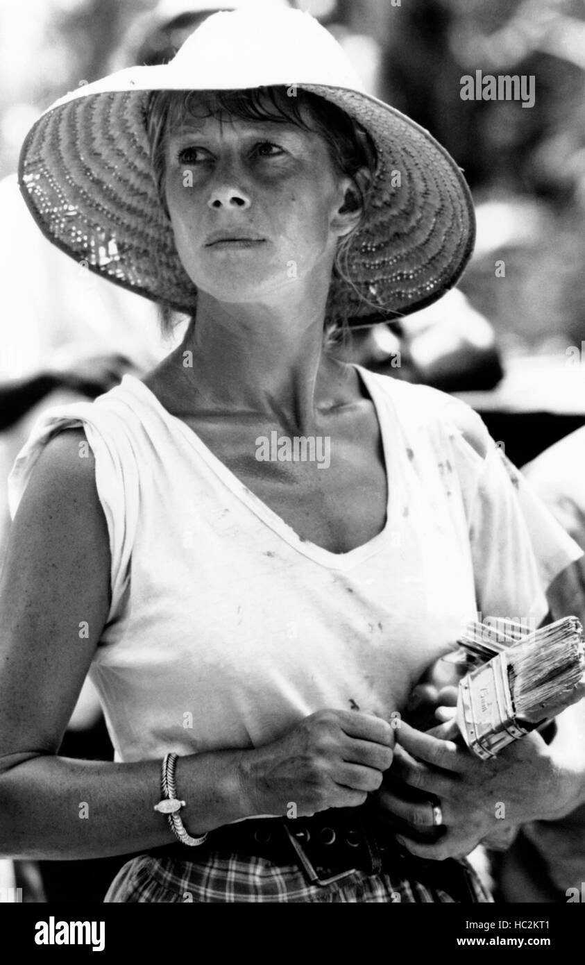 mosquito-coast-helen-mirren-hi-res-stock-photography-and-images-alamy
