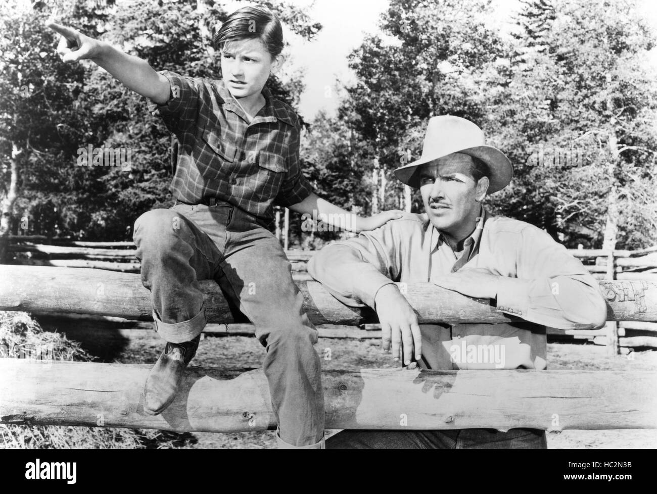 MY FRIEND FLICKA, from left: Roddy McDowall, Preston Foster, 1943 ...