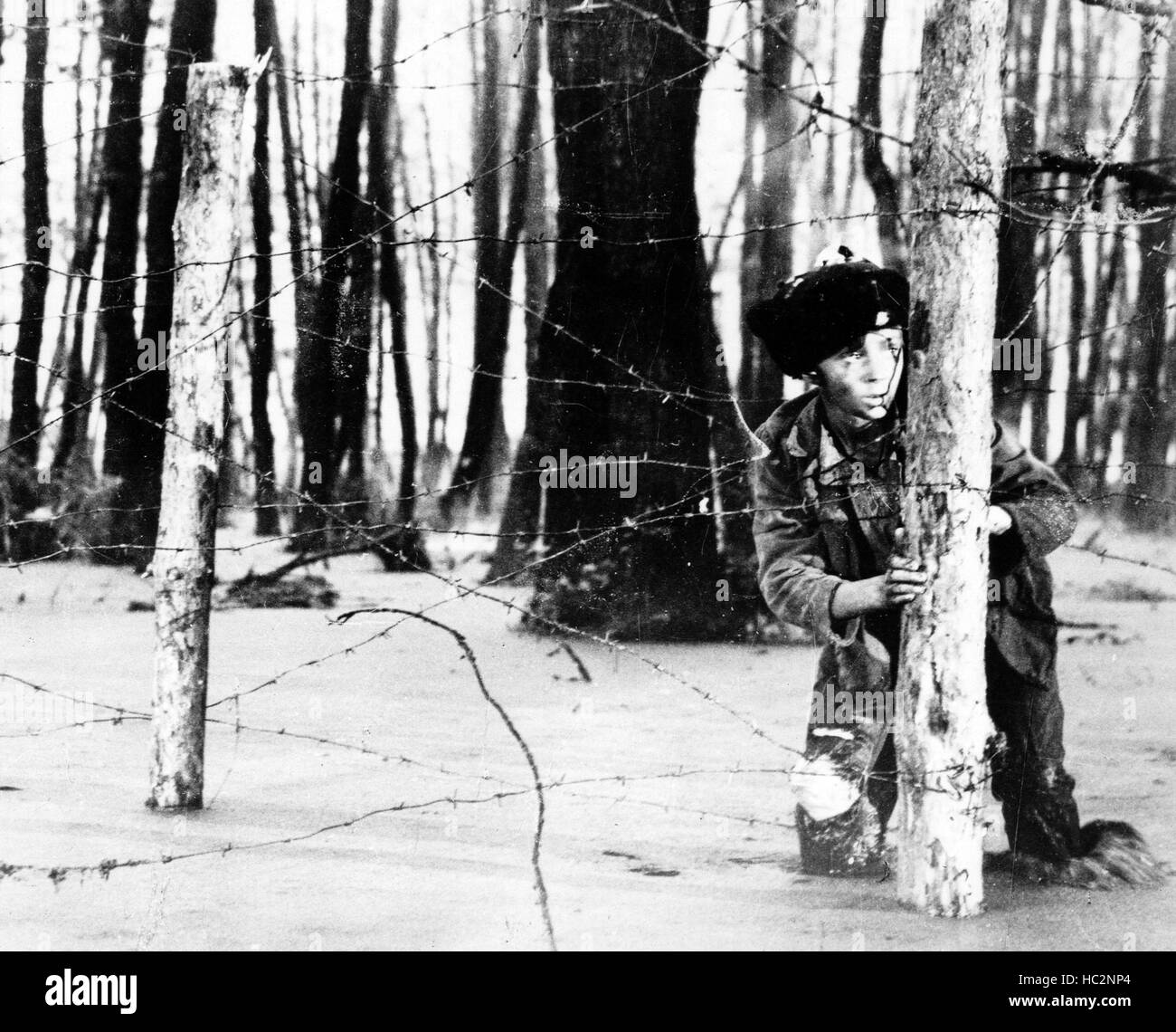 Ivanovo detstvo (ivan's childhood) hi-res stock photography and images ...