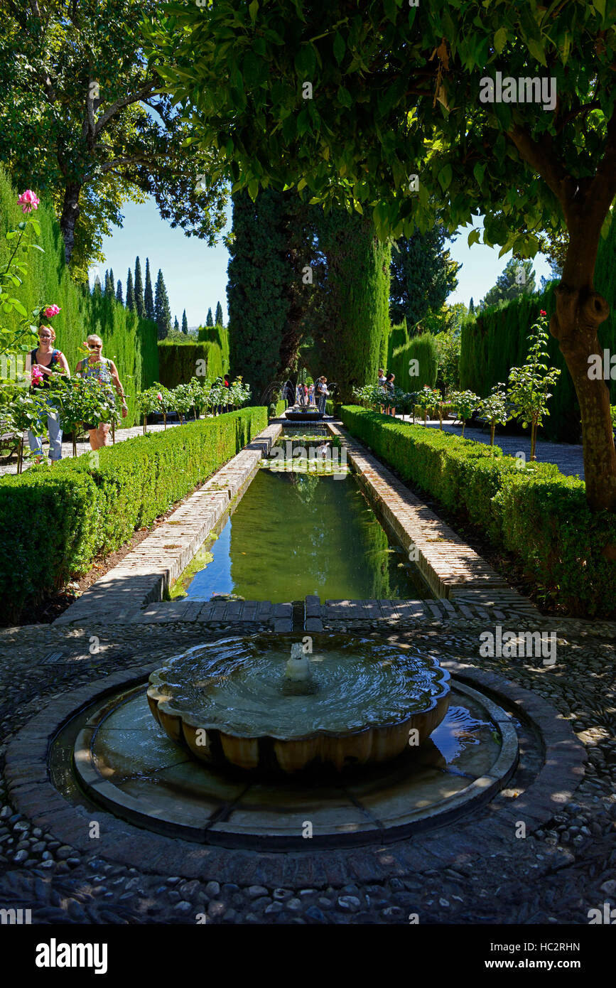 Patio de la Acequia Ornamental garden Irrigation channel Palacio de