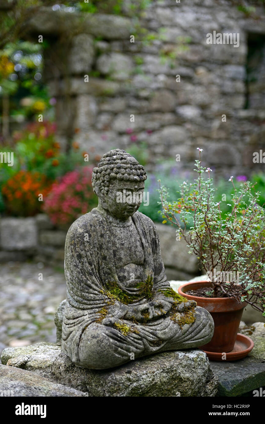 buddha statue meditate contemplate shady patio shaded mixed foliage leaves plants candles rm floral Stock Photo