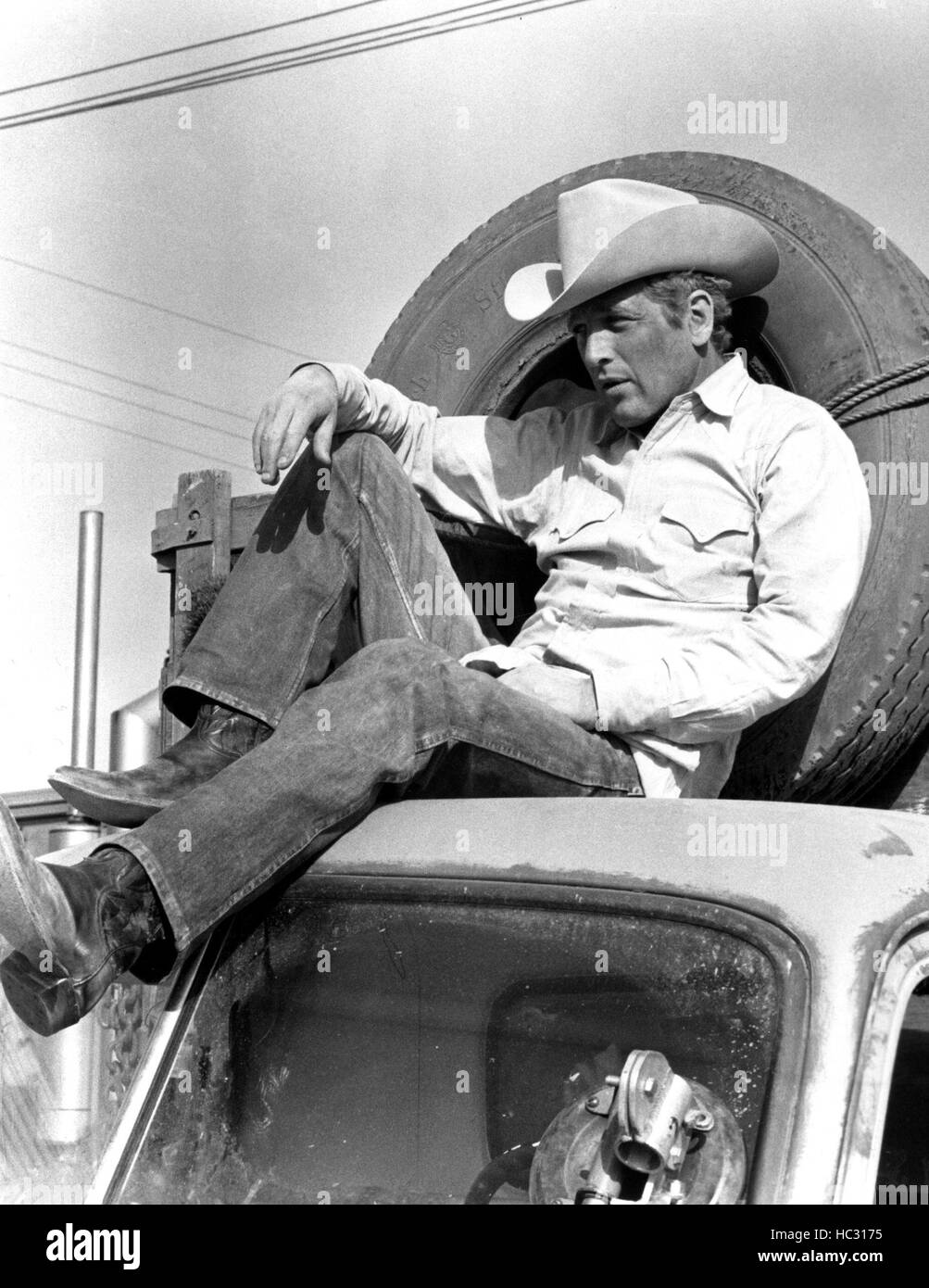 POCKET MONEY, Paul Newman, 1972 Stock Photo Alamy