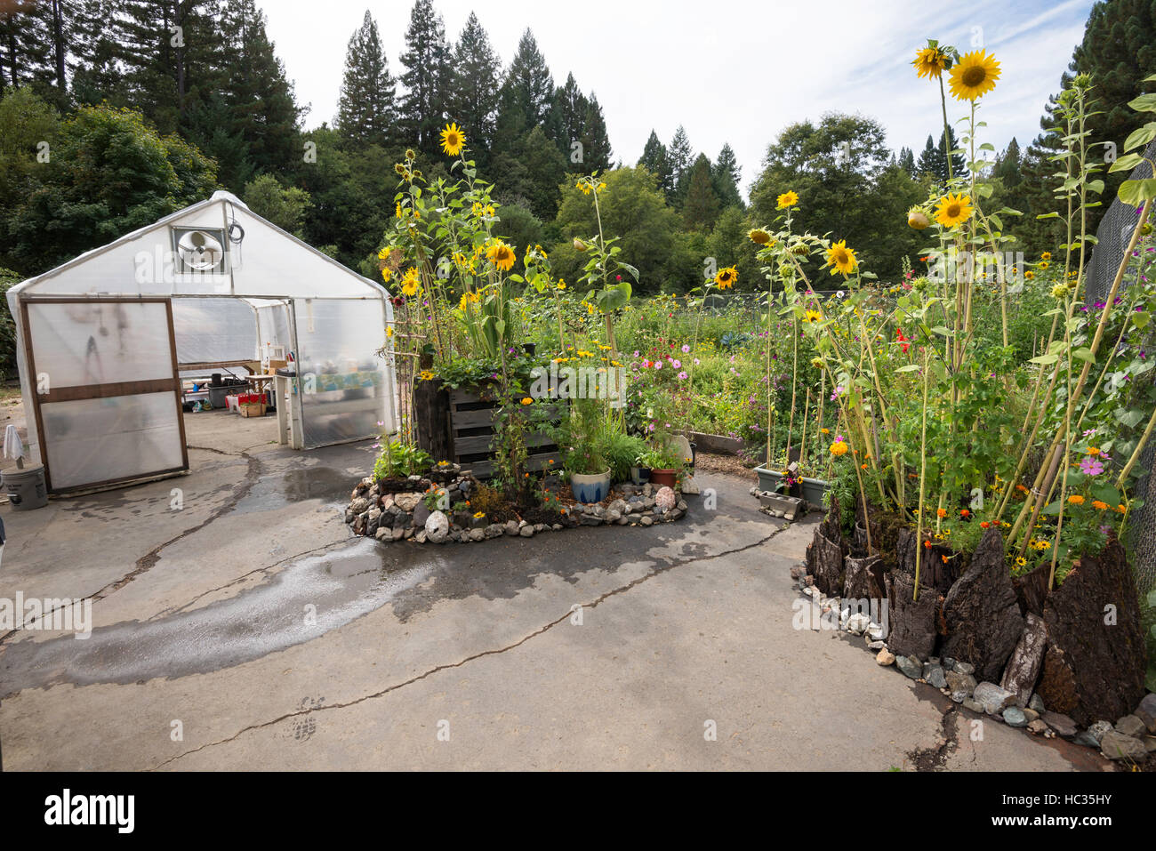 Brooktrails Community Garden in Mendocino County, California Stock