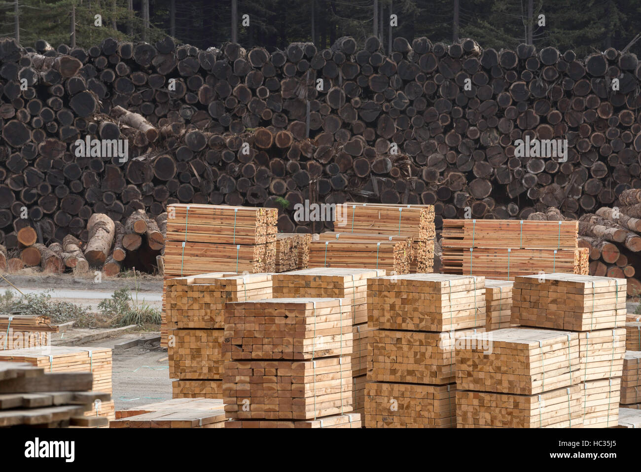 Redwood and company hires stock photography and images Alamy