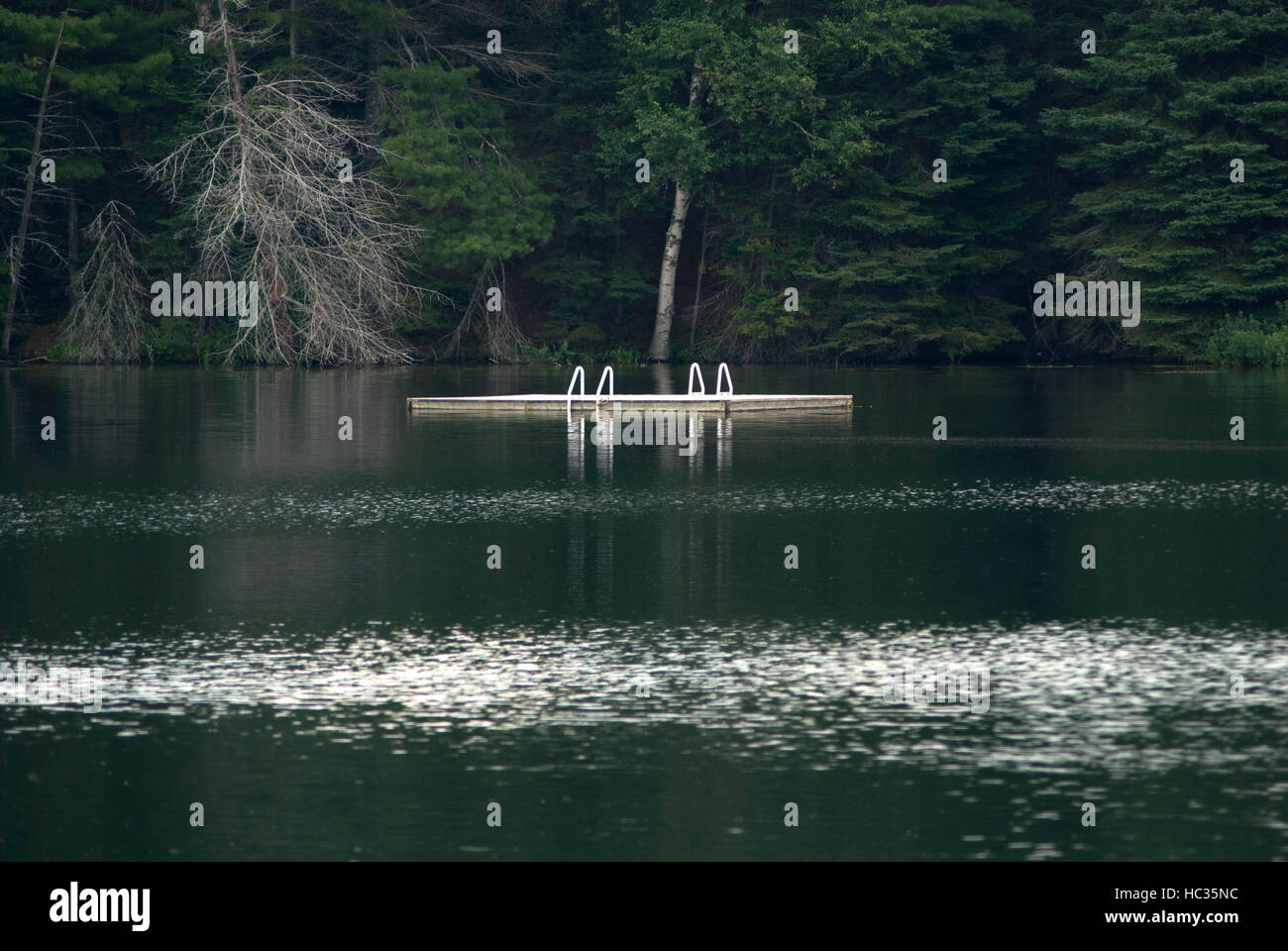 Swimming platform on a lake in Northern Ontario Stock Photo