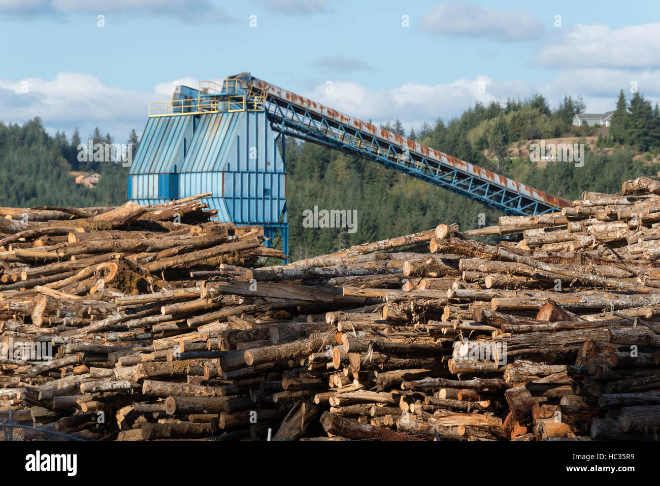 Logs stacked at lumber mill in Coos County, Oregon Stock Photo Alamy