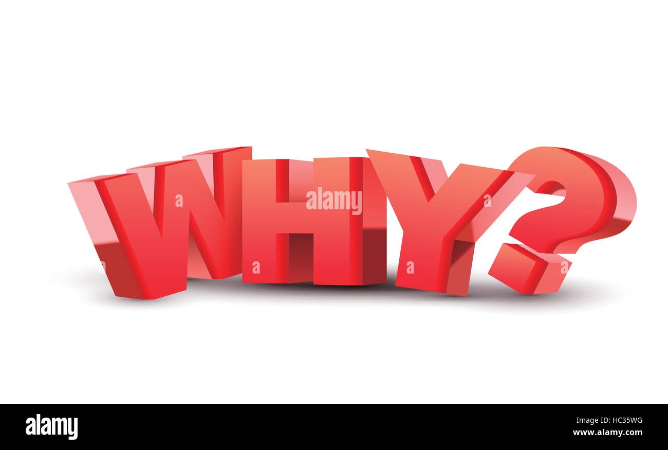 3d 'why' text isolated white background Stock Vector