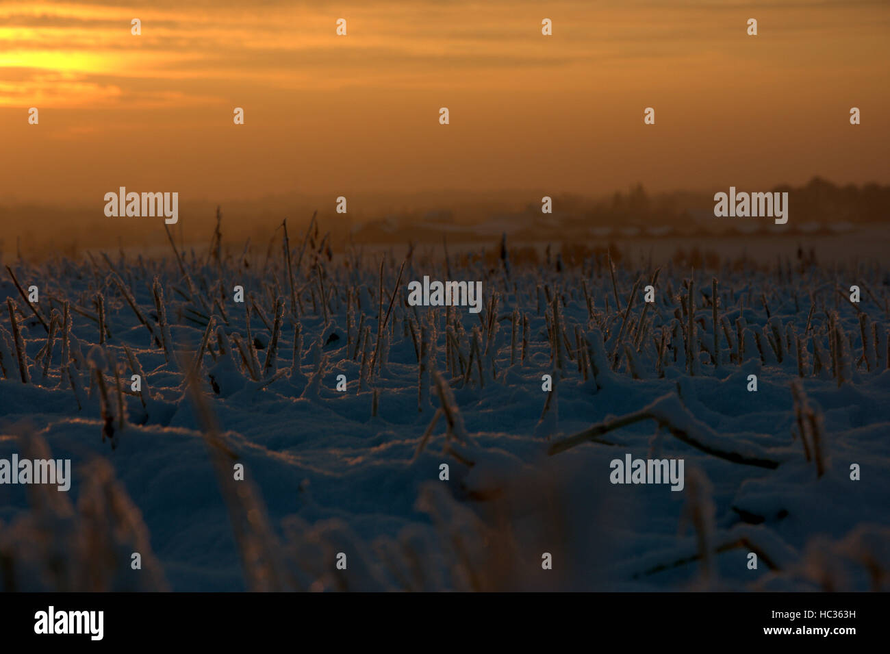 Field sunrise snow hi-res stock photography and images - Alamy