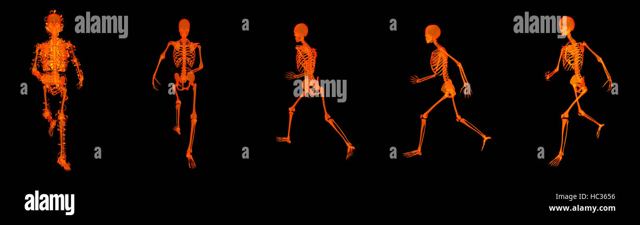 3d render walking fire skeleton by X-rays in red Stock Photo - Alamy