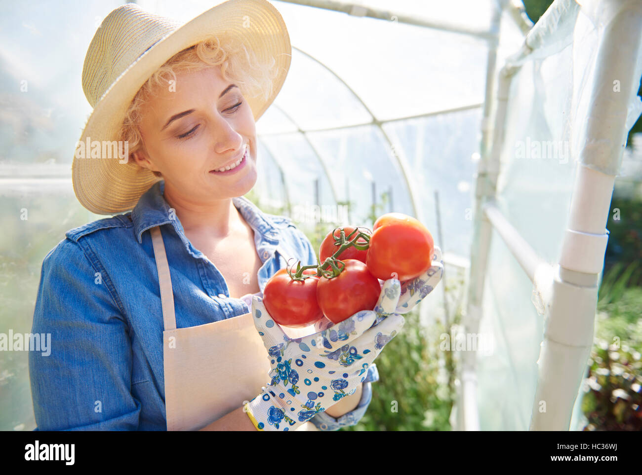 Woman holding a bunch of fresh tomatoes Stock Photo - Alamy