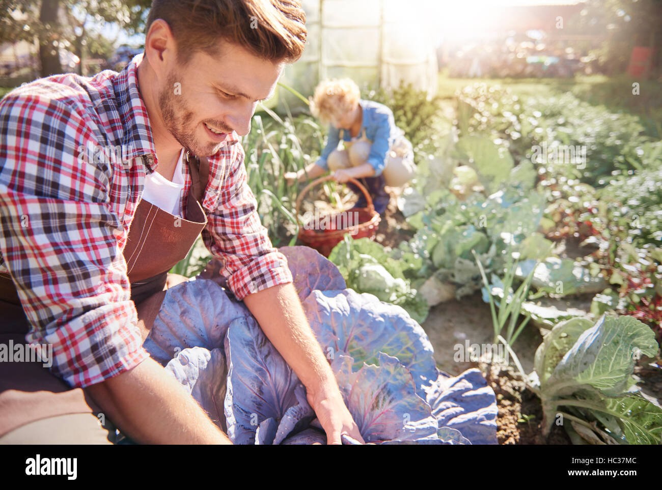 Gardening couple hi-res stock photography and images - Alamy