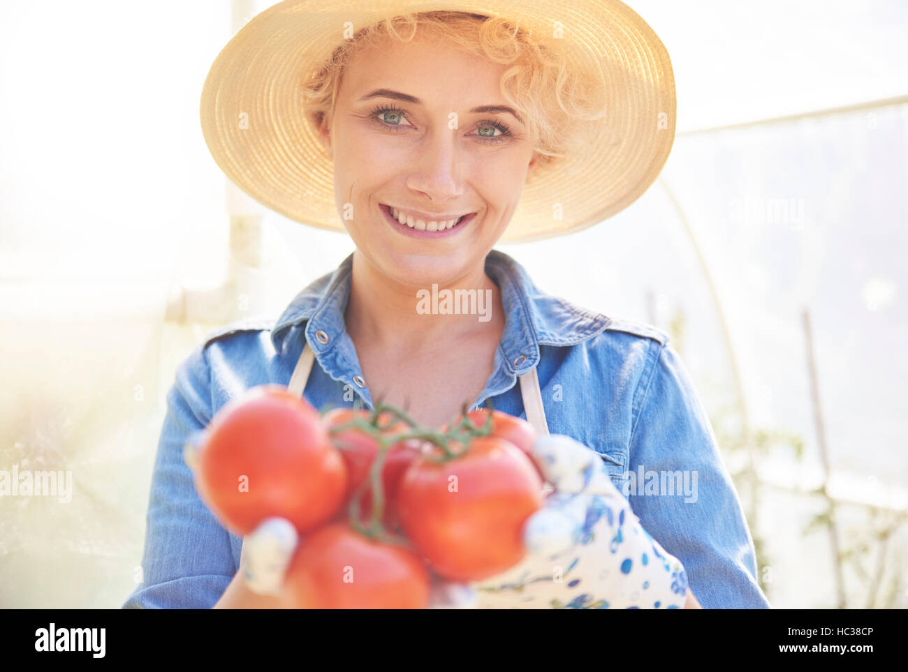 Picture of woman holding tomato Stock Photo - Alamy