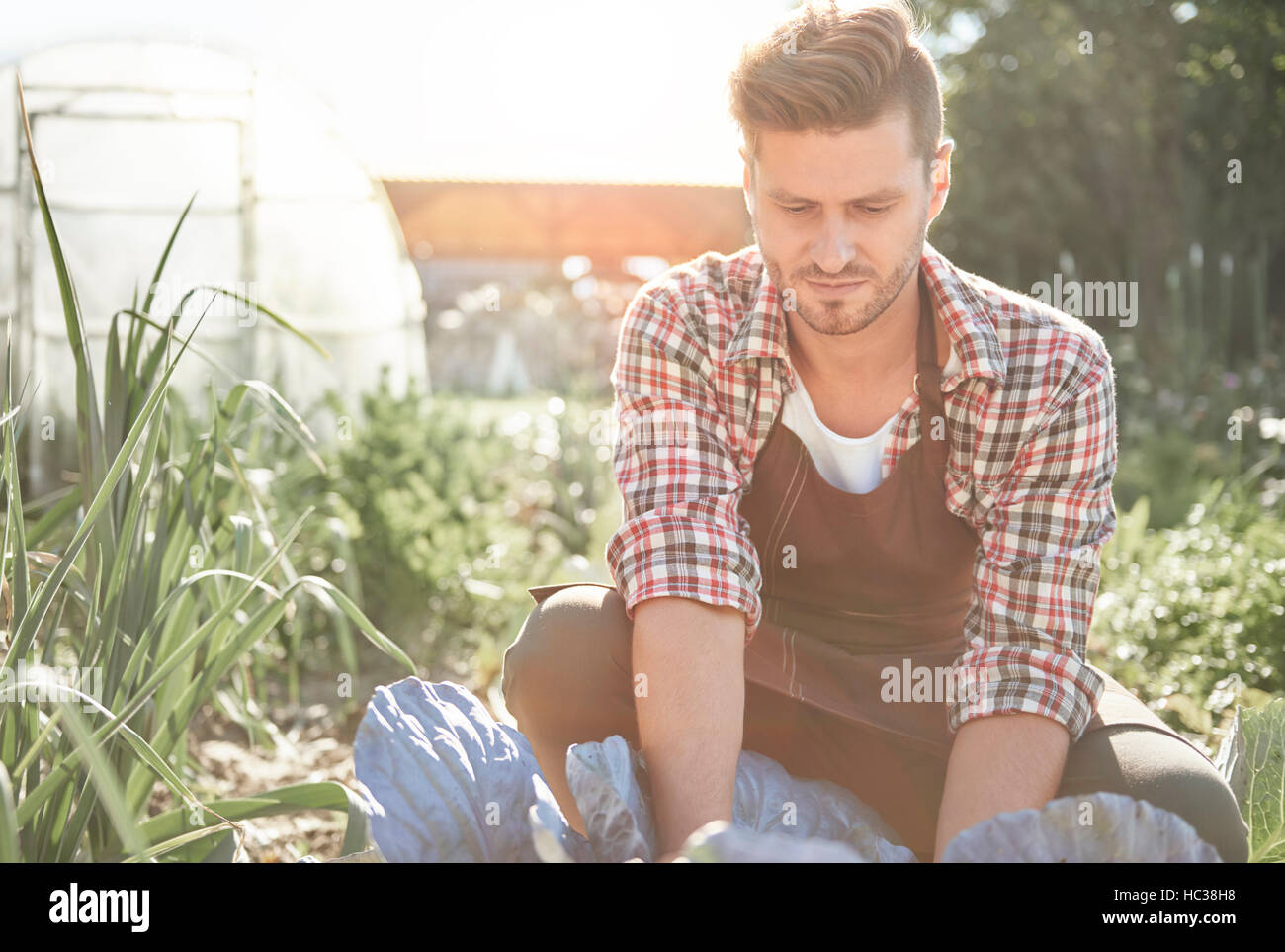 Farmer is working hard on sunny day Stock Photo - Alamy