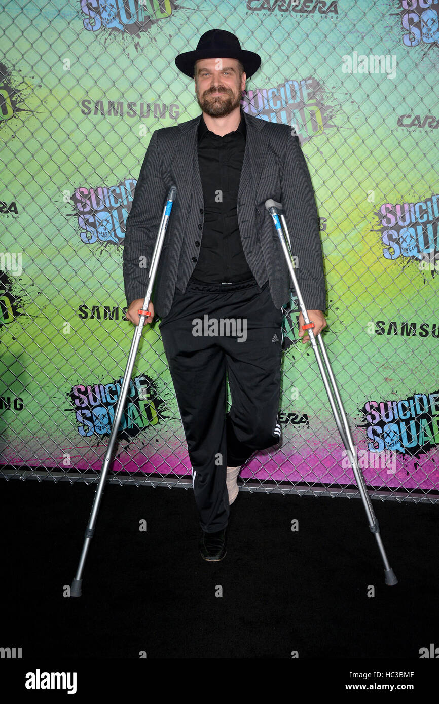 Suicide Squad World Premiere Red Carpet Arrivals Featuring David Harbour Where New York, New