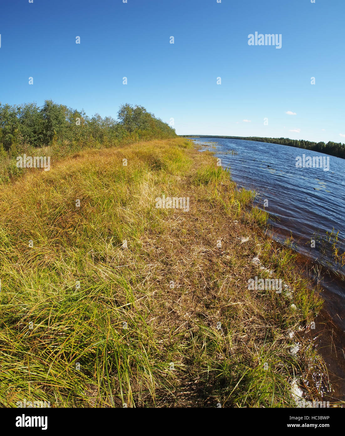 on the river bank Stock Photo Alamy
