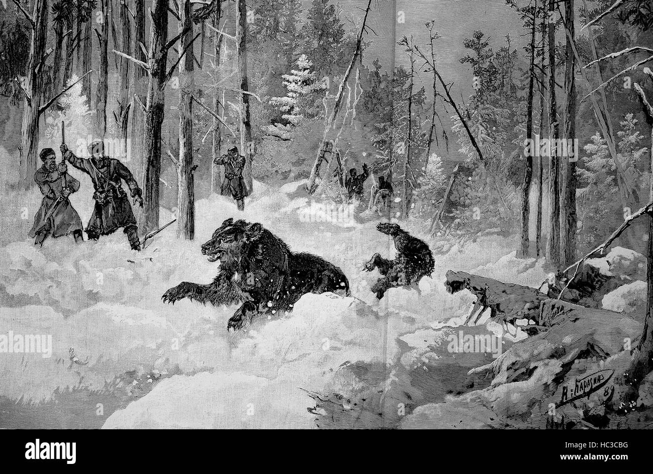 Hunter at the bear hunting in Russia, historical illustration, woodcut