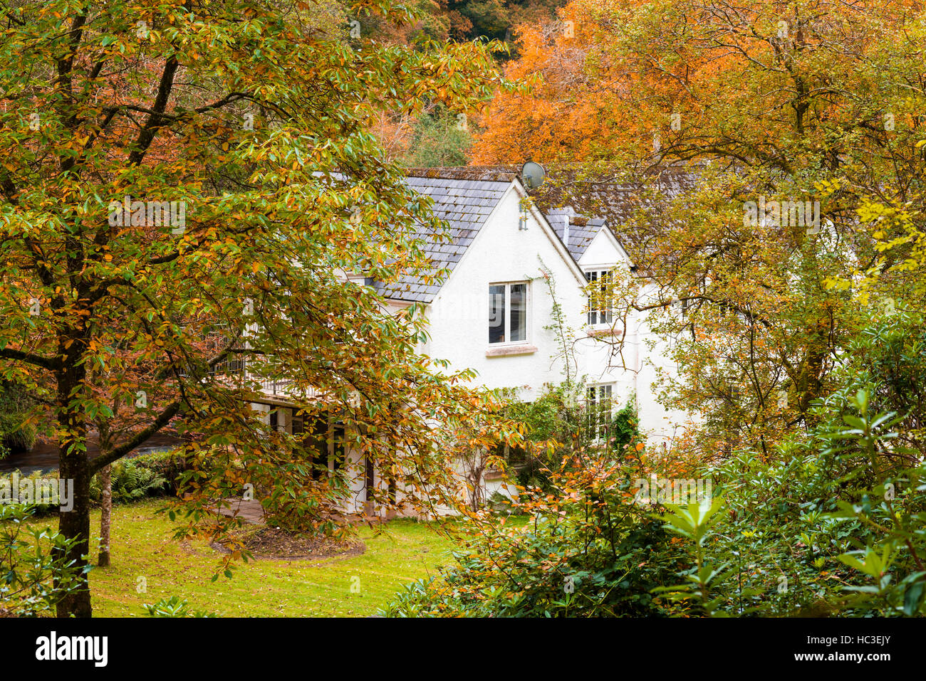 Cottage in an autumn woodland near Dulverton in the Exmoor National Park. Somerset. Stock Photo