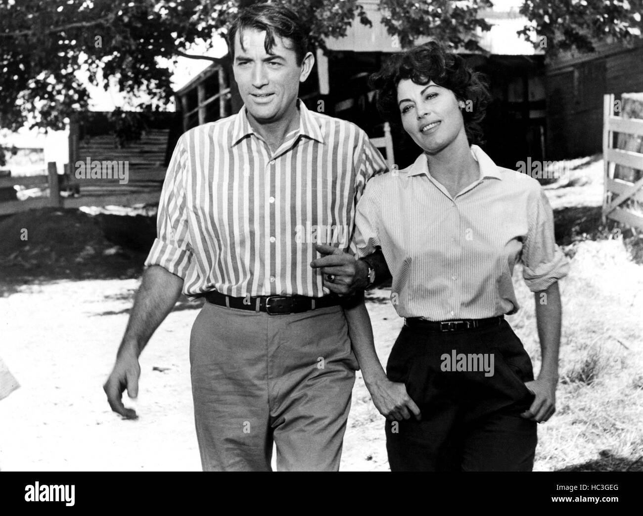 ON THE BEACH, Gregory Peck, Ava Gardner, 1959 Stock Photo Alamy
