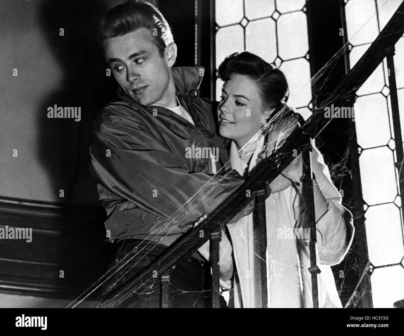 REBEL WITHOUT A CAUSE, James Dean, Natalie Wood, 1955 Stock Photo Alamy