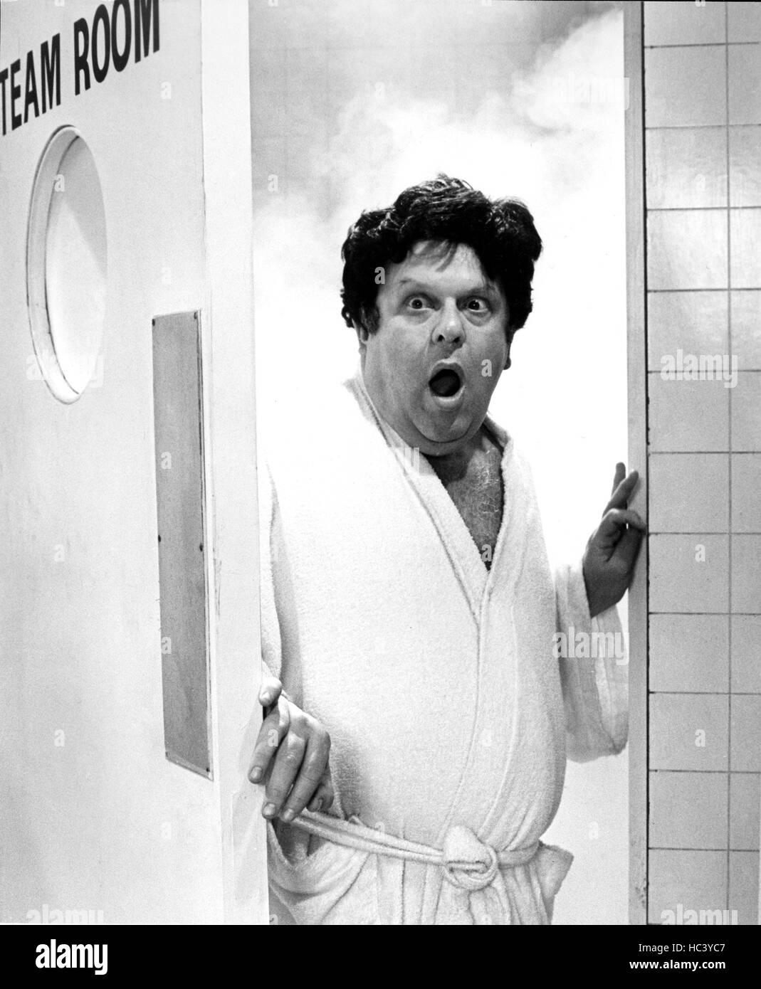 THE RITZ, Jack Weston, 1976 Stock Photo Alamy