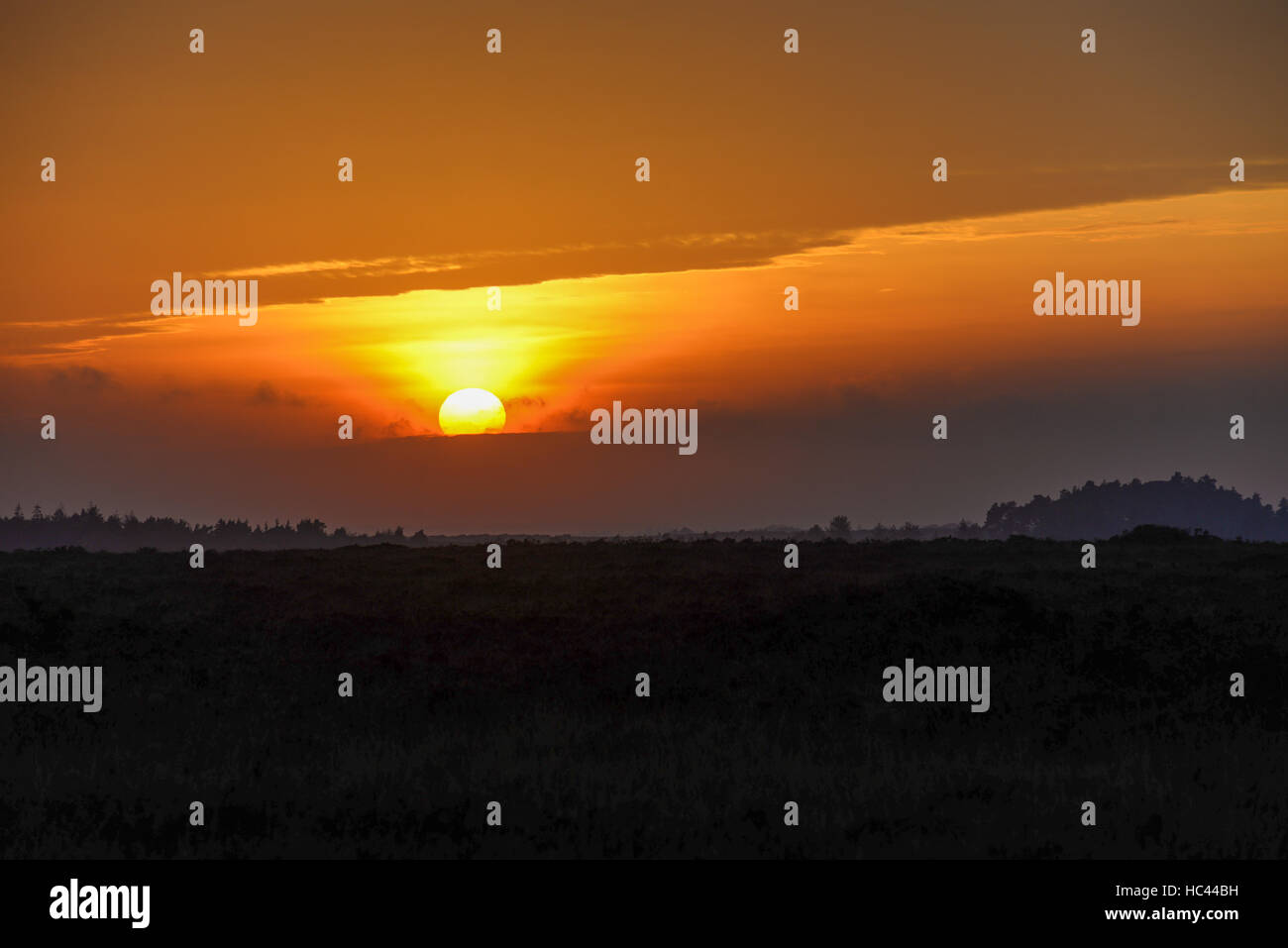 Sunset, New Forest, Hampshire, UK, December. Stock Photo