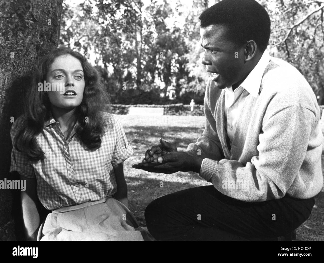 A PATCH OF BLUE, Elizabeth Hartman, Sidney Poitier, 1965 Stock