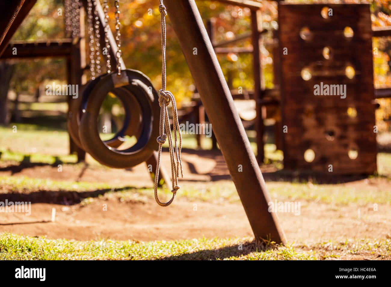 Rope hanging by tire swings Stock Photo - Alamy