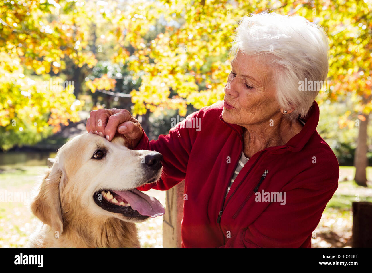elderly woman sitting with dog Stock Photo