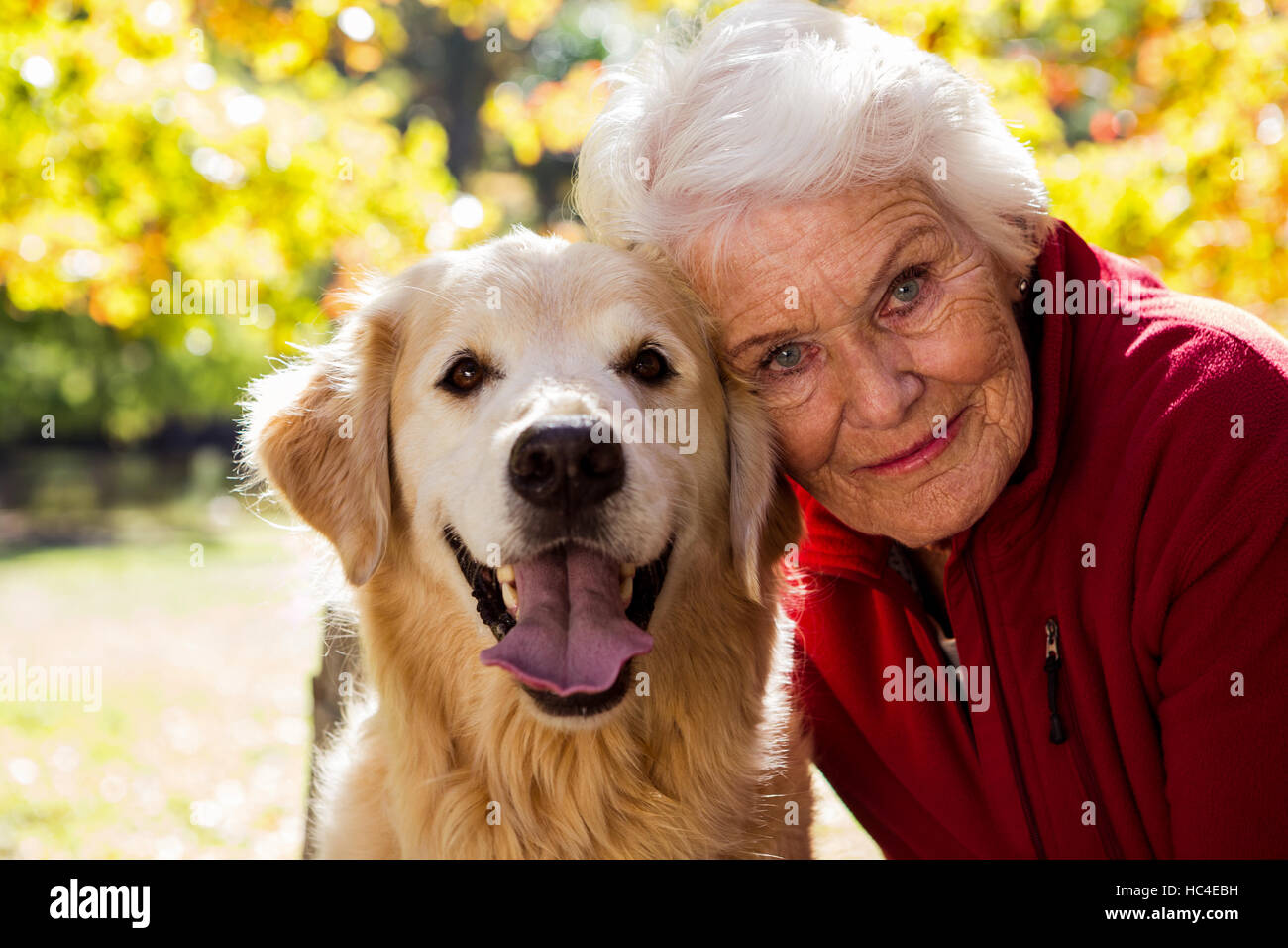 Elderly woman with dog hi-res stock photography and images - Alamy