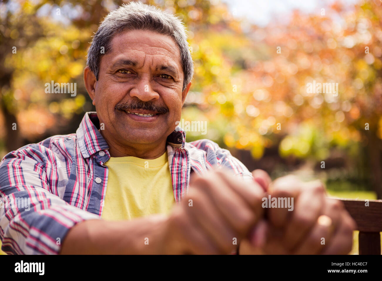 Portrait of elderly man sitting on the bench Stock Photo - Alamy