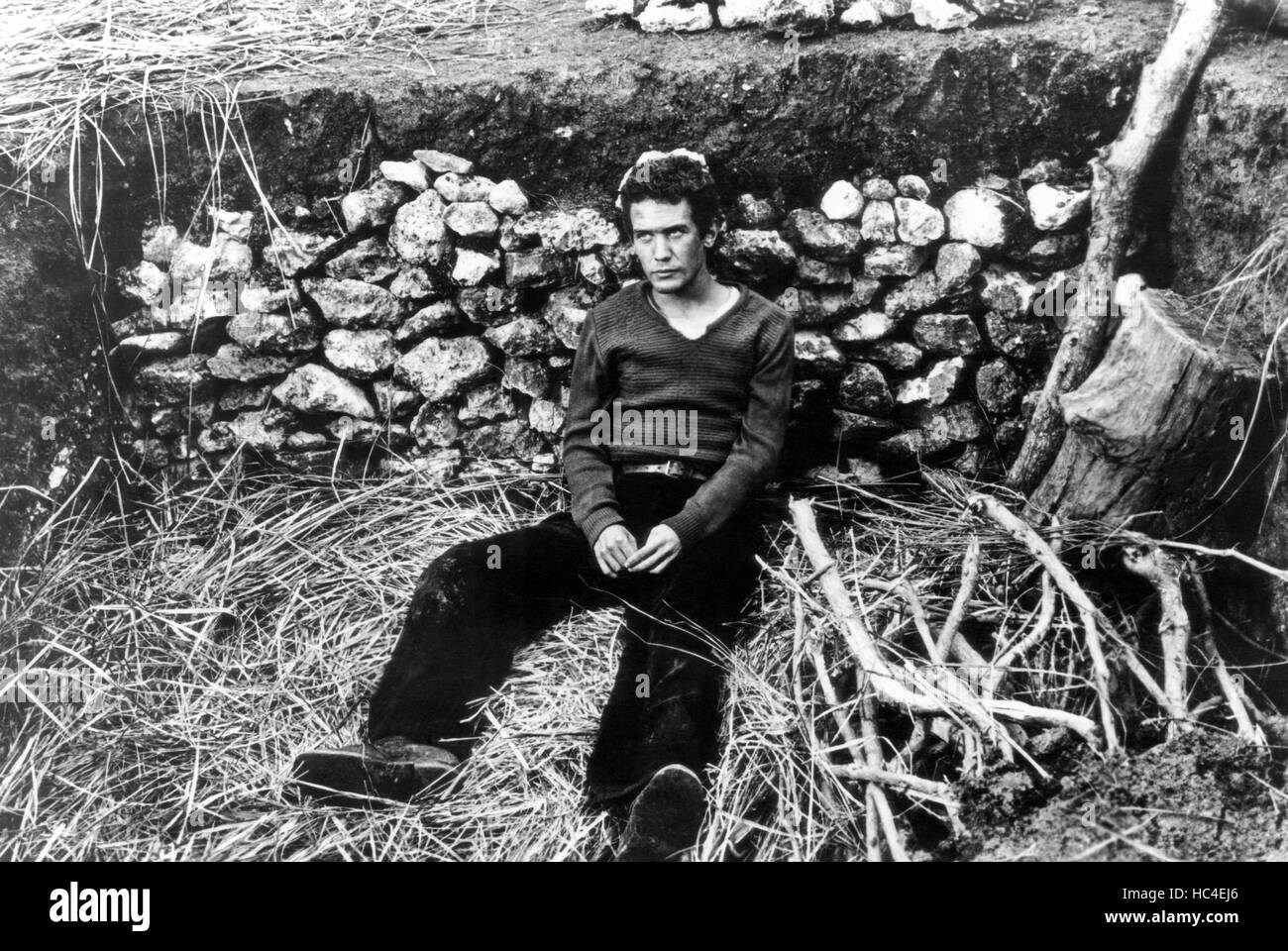 PADRE PADRONE, Saverio Marconi, 1977 Stock Photo Alamy