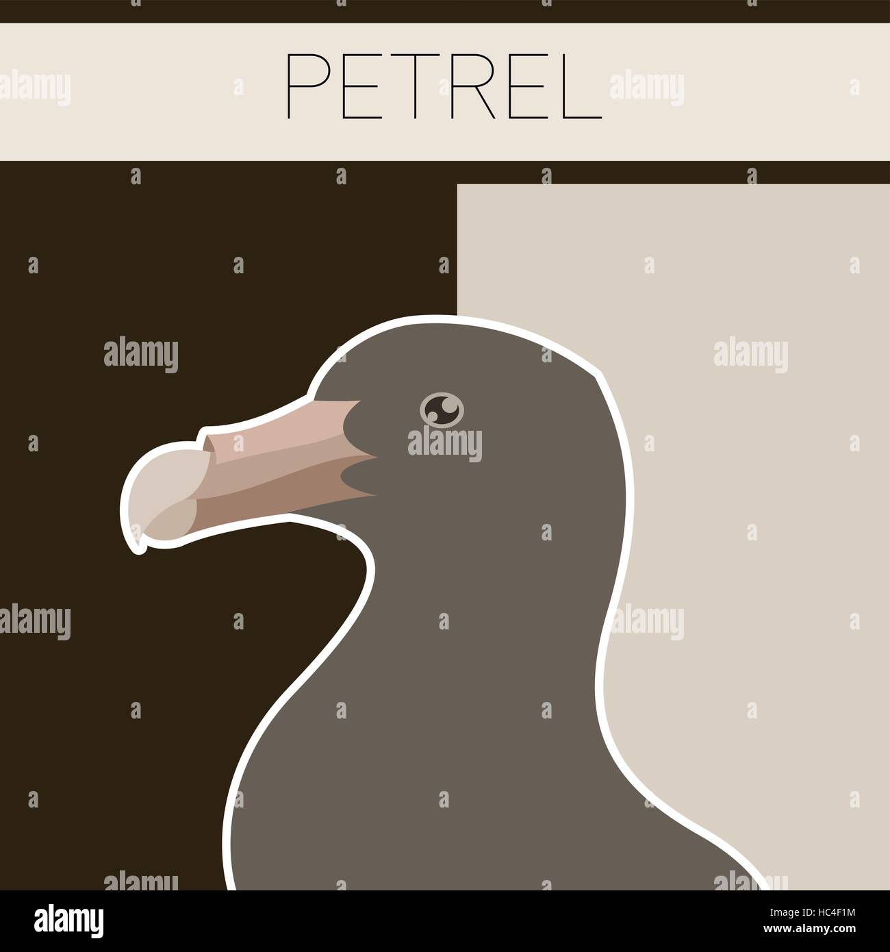 Petrel flat postcard Stock Vector