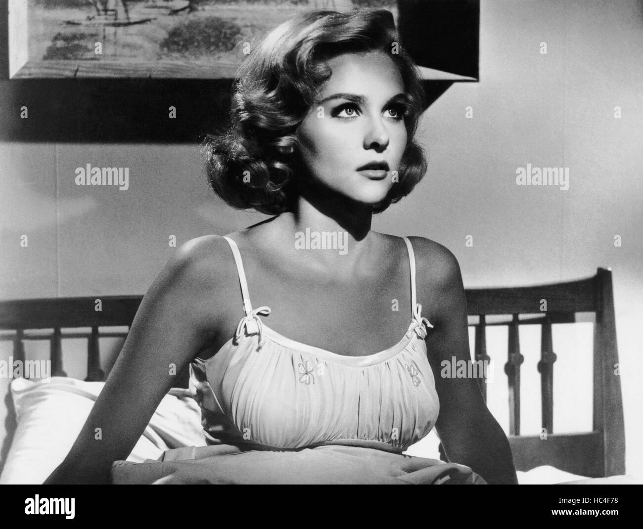 Diane McBain main image 1