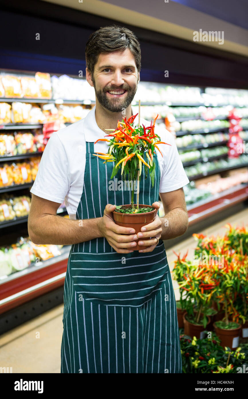 Smiling male staff holding pot plant in supermarket Stock Photo - Alamy