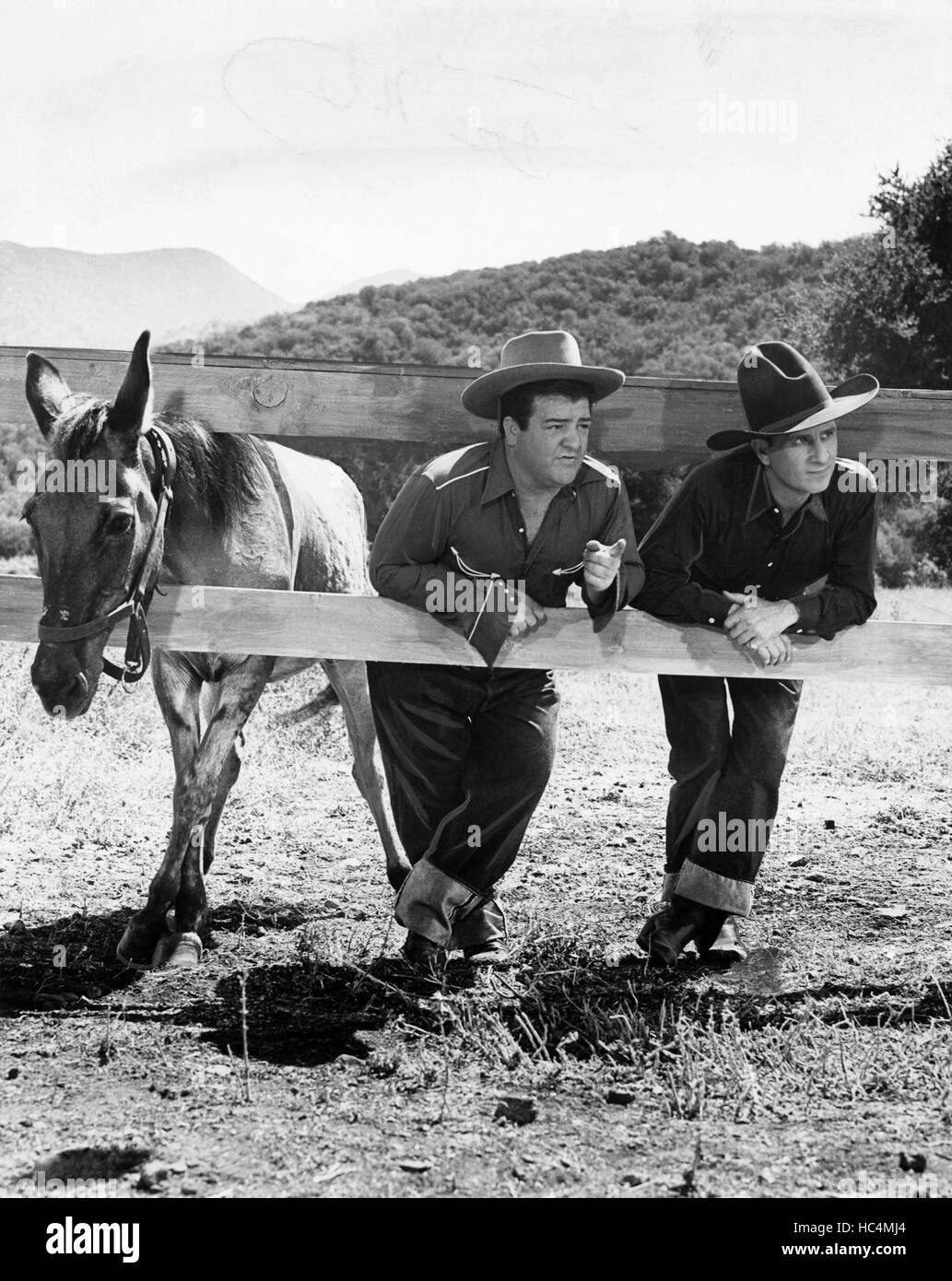 RIDE'EM COWBOY, Lou Costello, Bud Abbott, 1942 Stock Photo Alamy