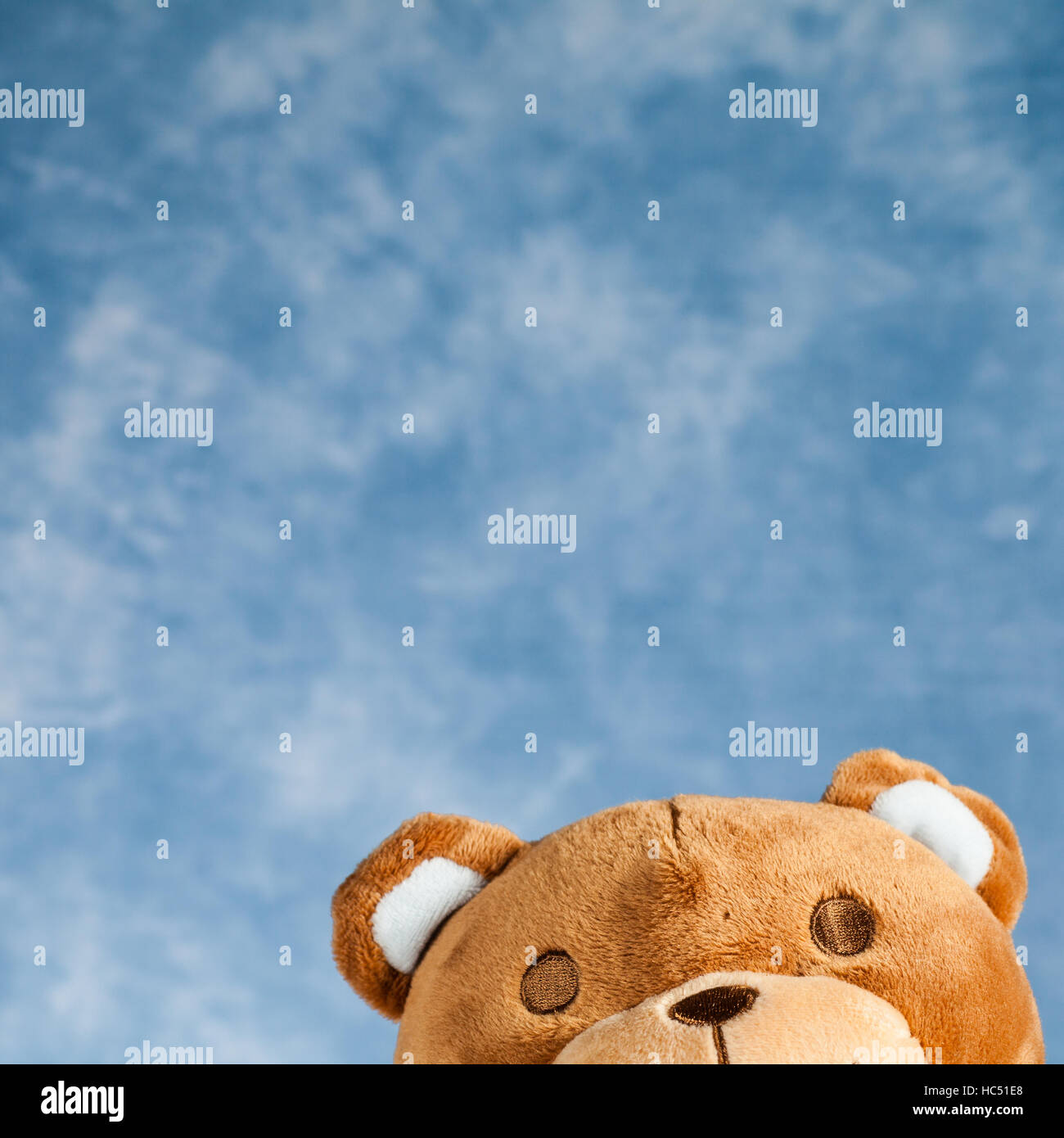 Teddy Bear toy on blue sky background with copyspace Stock Photo - Alamy