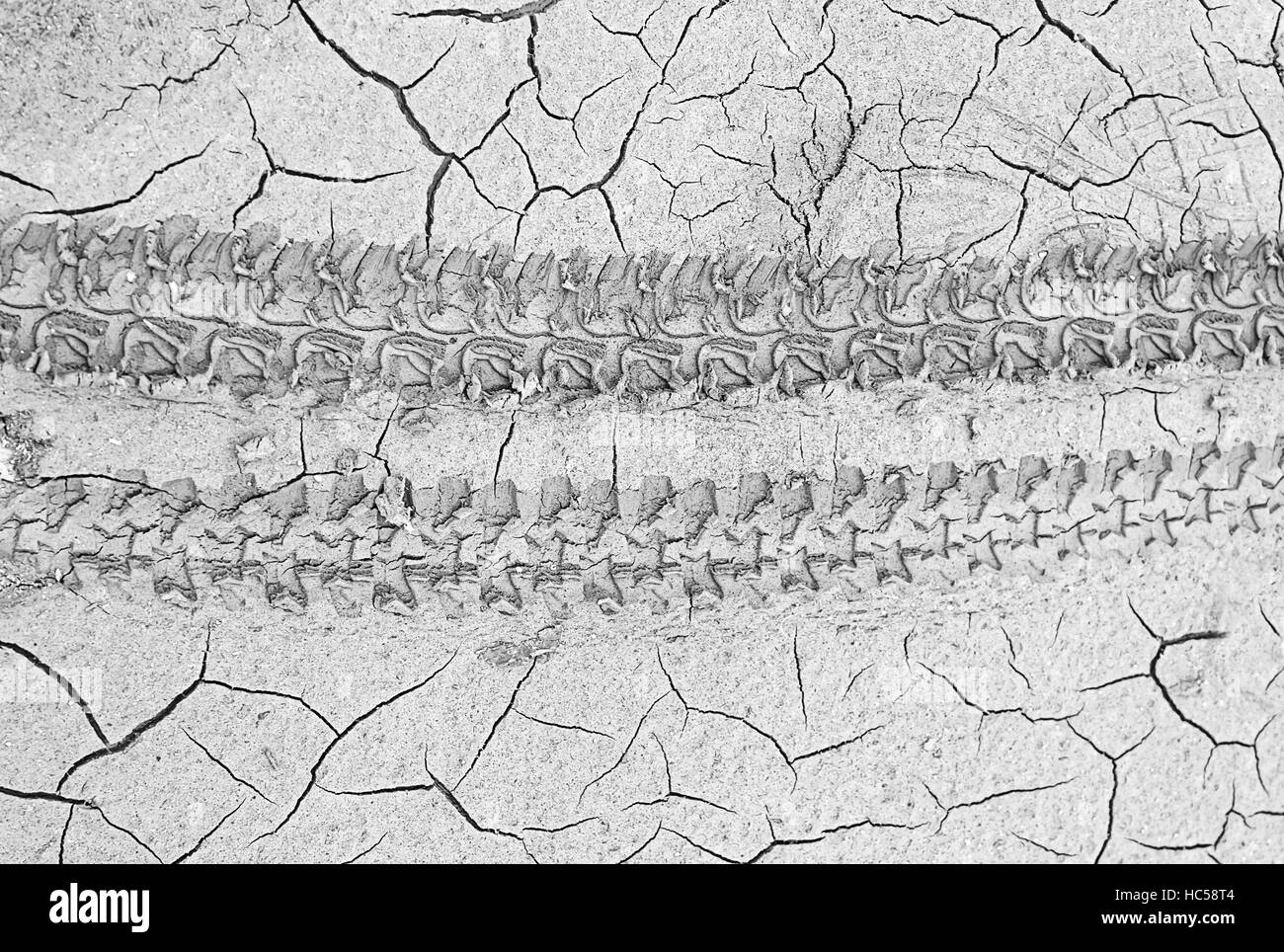 Trail in arid land of car wheels, nature and outdoors Stock Photo Alamy