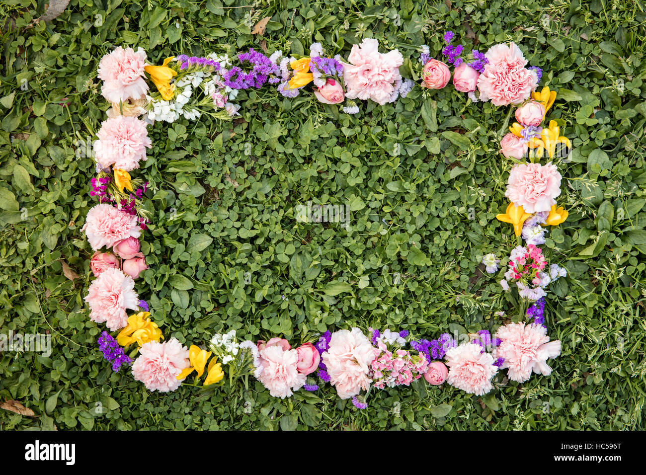 Frame of spring flowers against plants Stock Photo Alamy