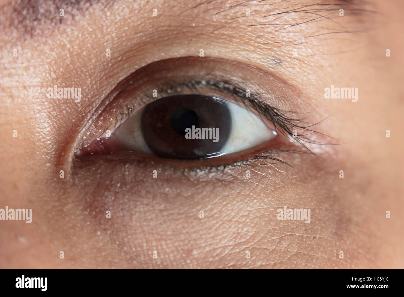 Zoom Eye woman Stock Photo Alamy