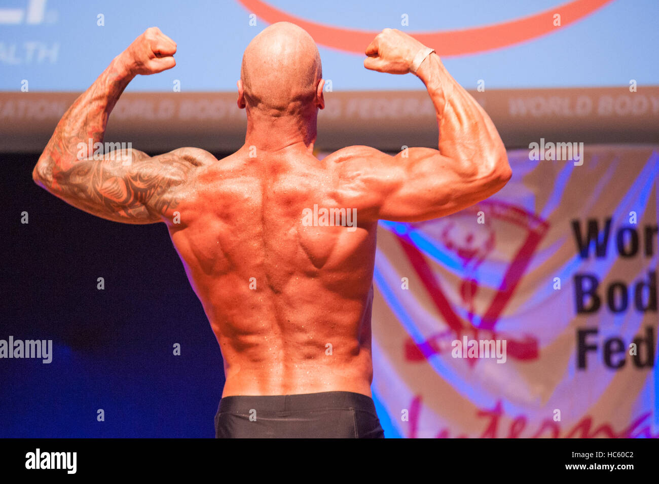 MAASTRICHT, THE NETHERLANDS - OCTOBER 25, 2015: Male bodybuilder Erik Stobbe shows his best back double biceps pose at the World Grandprix Stock Photo