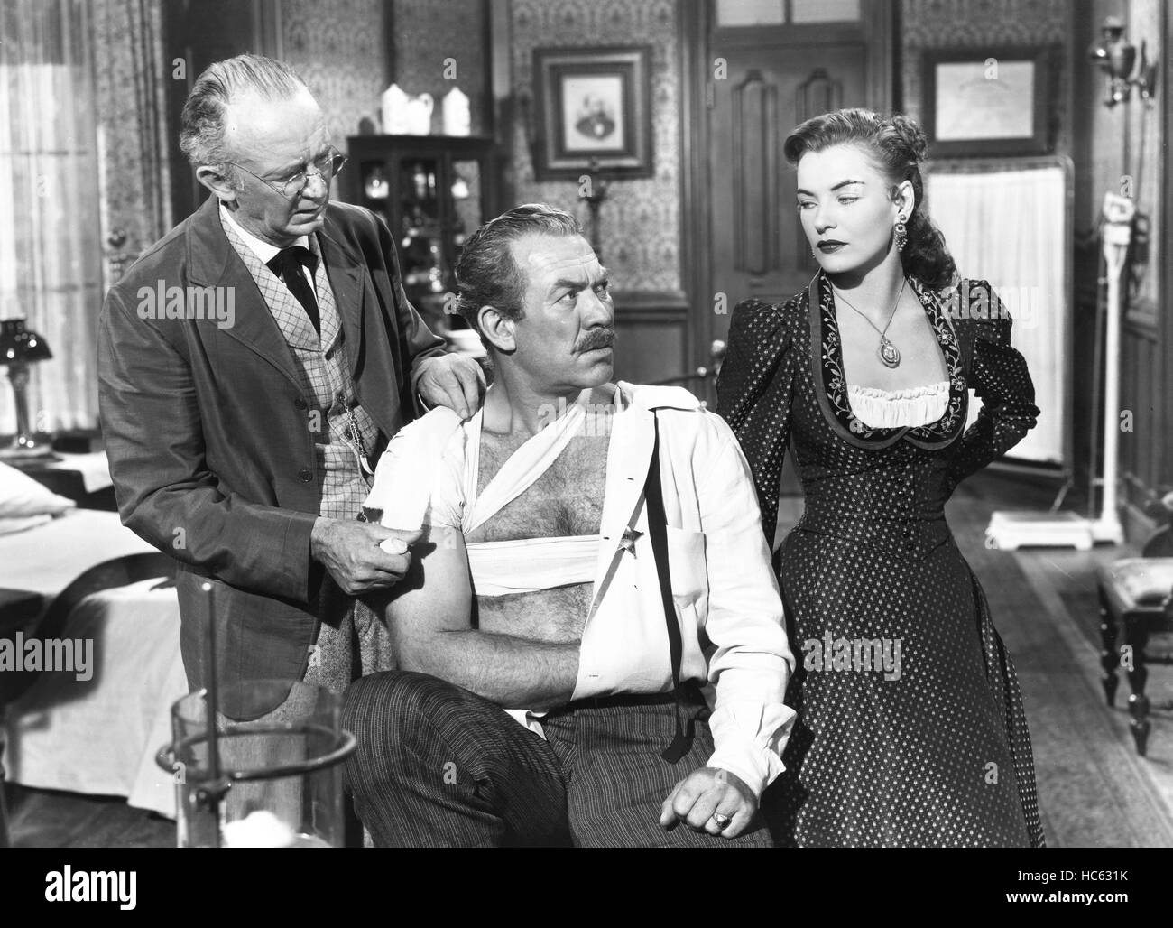 singing-guns-from-left-walter-brennan-ward-bond-ella-raines-1950-HC631K.jpg