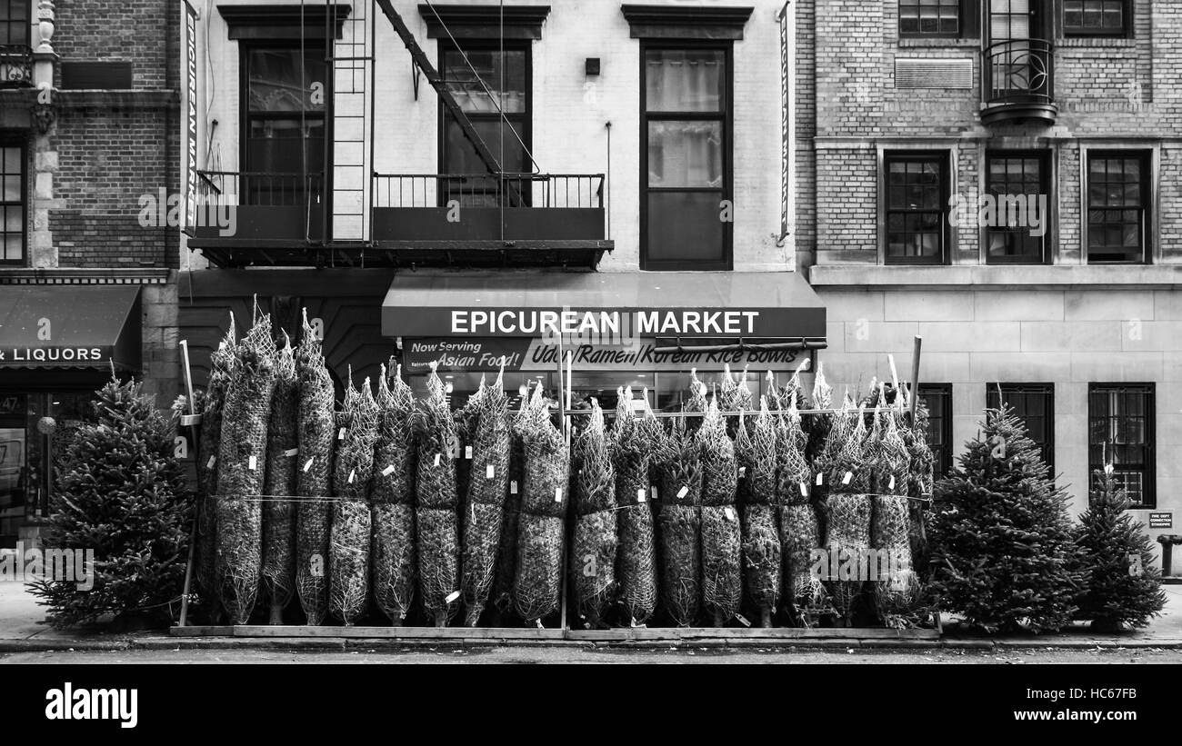 Christmas trees for sale on street in New York, NY Stock Photo Alamy