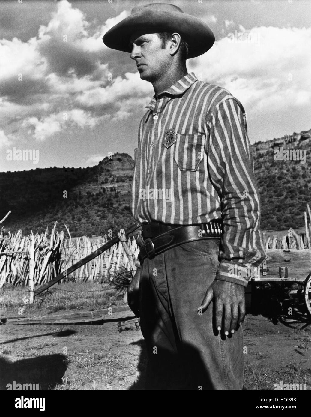 SHOTGUN, Sterling Hayden, 1955 Stock Photo - Alamy