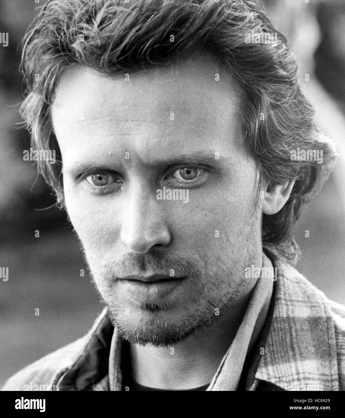 SHOOT THE MOON, Peter Weller, 1982, (c)MGM/courtesy Everett Collection Stock Photo Alamy