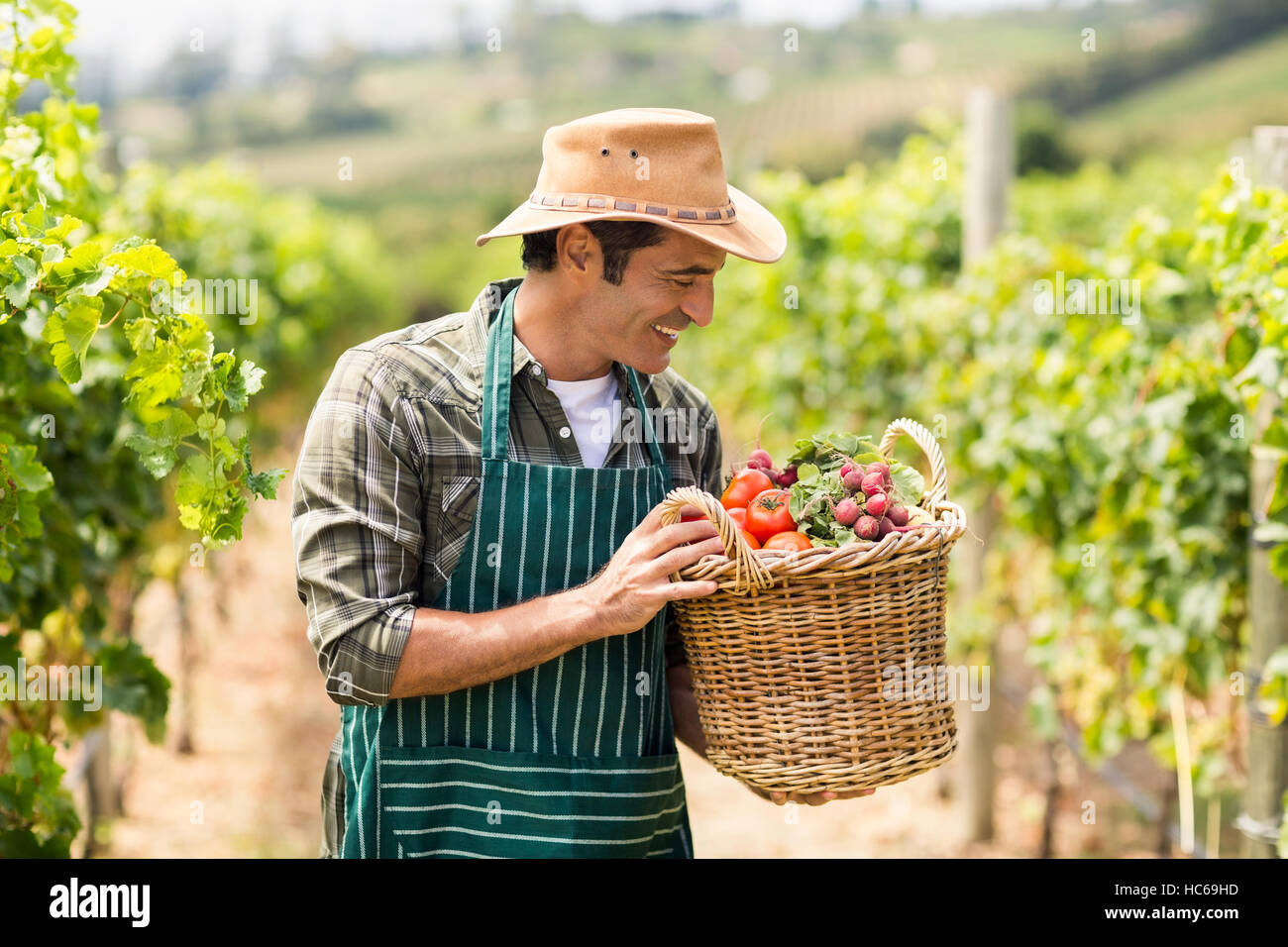 Happy farmer holding a basket of vegetables Stock Photo - Alamy