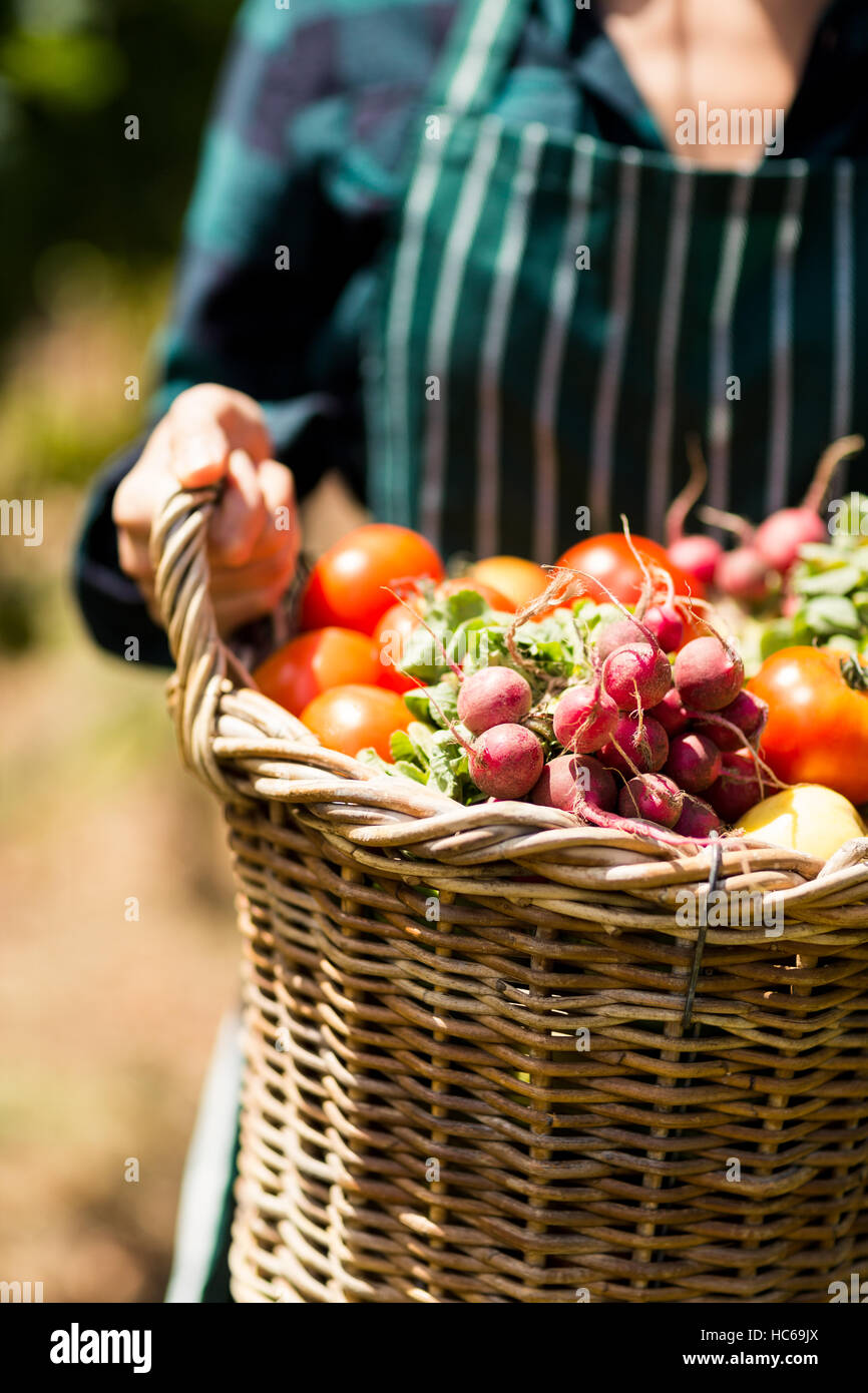 Mid section of female farmer holding a basket of vegetables Stock Photo ...
