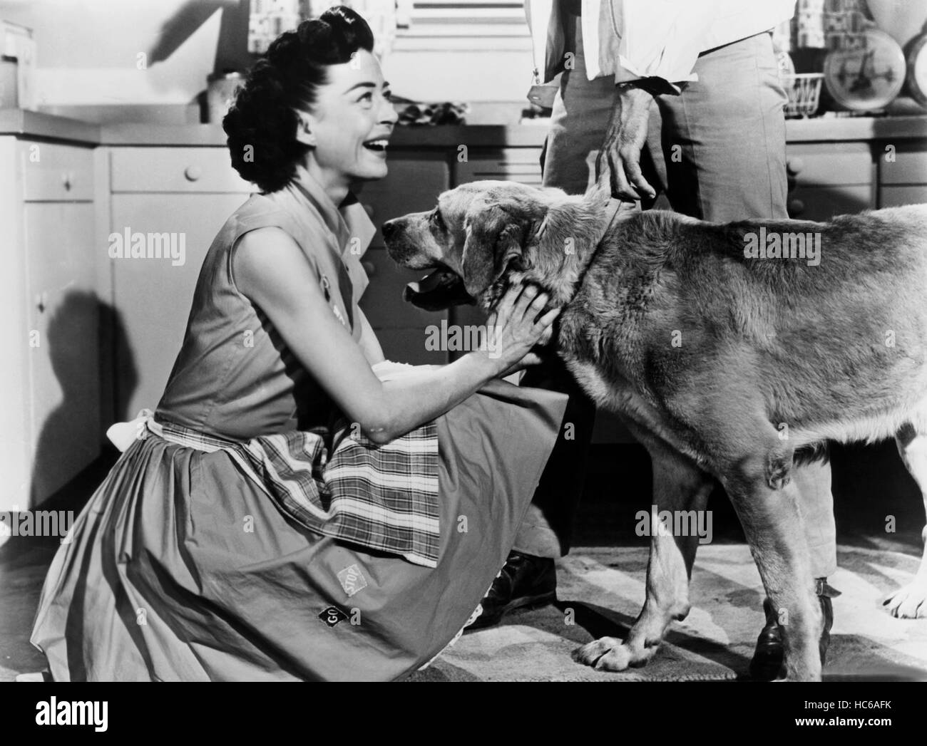 THE SILENT CALL, Gail Russell, 1961, ©20th Century Fox, TM & Copyright